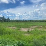 Đất thổ cư 147,2 m² tại Long Phước - ảnh 4