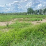 Đất thổ cư 147,2 m² tại Long Phước - ảnh 5