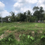 Toàn cảnh nền đất trống tại Long Mỹ